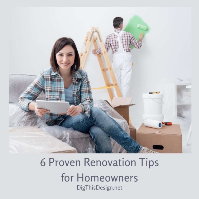 Renovations renovation homeowners costs united